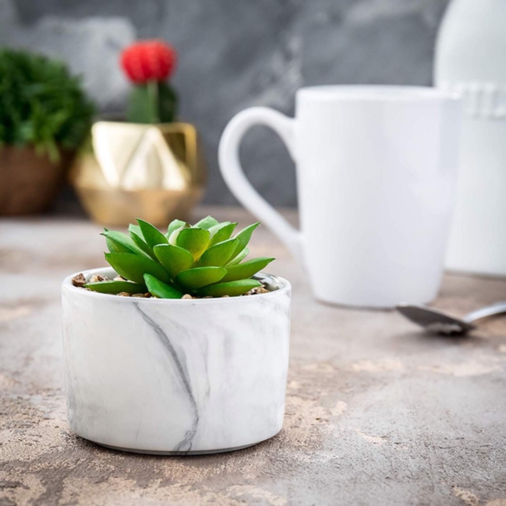 Faux Succulent Plant Marble Design Pot - Picture 1 of 3